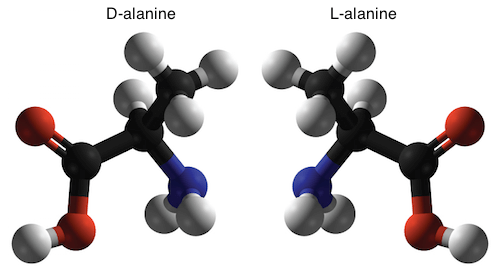 Amino Acid Alanine