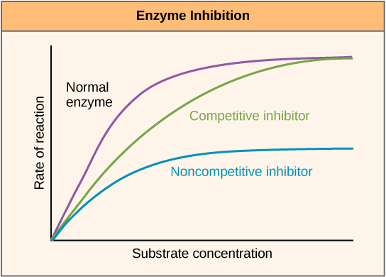 Enzyme inhibitor comparison