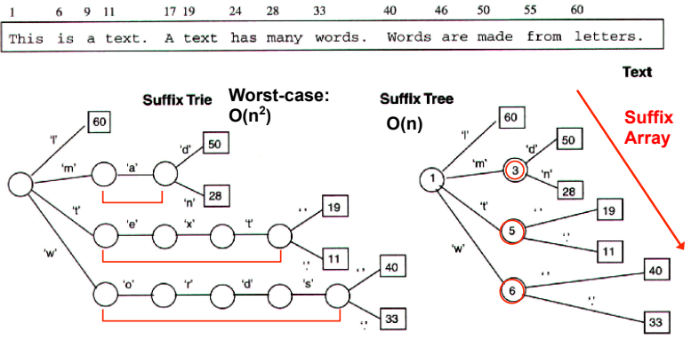 Build a Suffix Tree