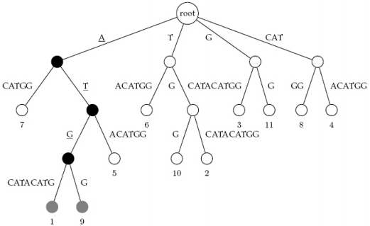 Example of Suffix Tree