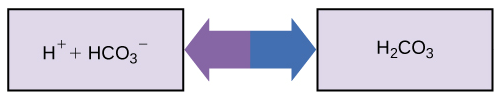 Conjugate buffer