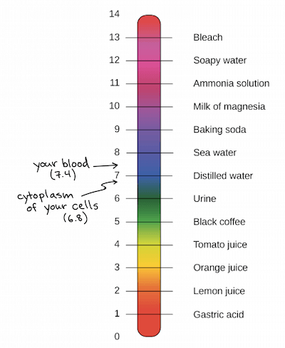 The pH scale