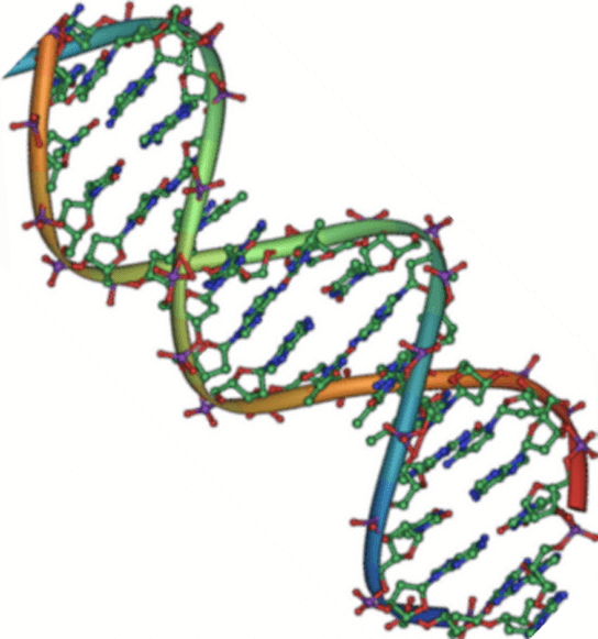 Deoxynucleic Acid