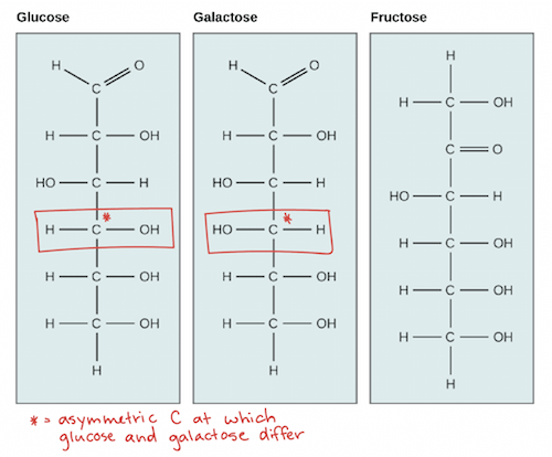 Monosaccharide Isomers