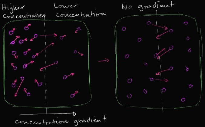 Diffusion