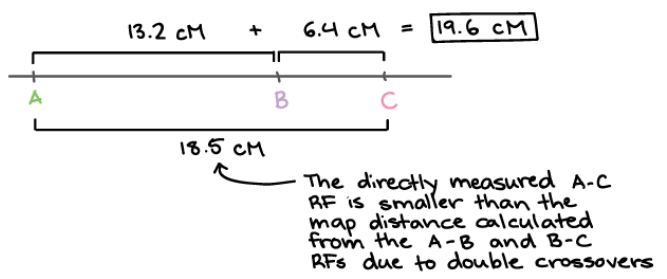 Double crossover effect