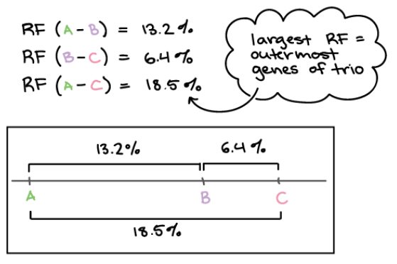 RF gene sorting