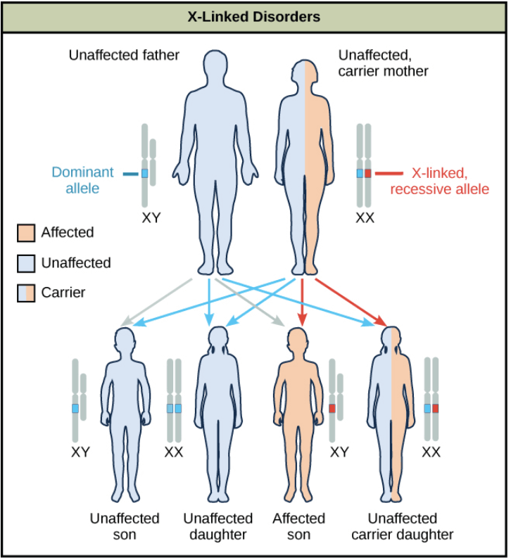 X-linked disorder