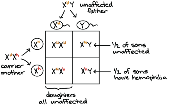 X-linked disorder