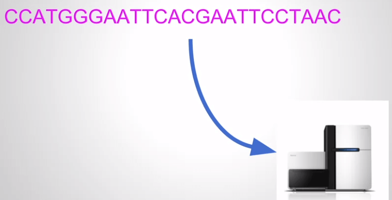 ChIP-Seq Step 4