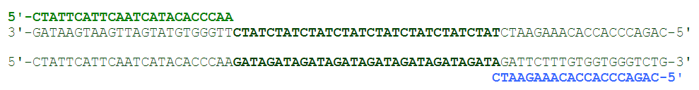 PCR Step 1