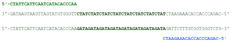 PCR Step 2