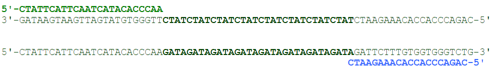 PCR Step 3