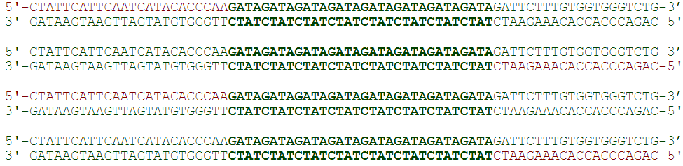 PCR Step 5